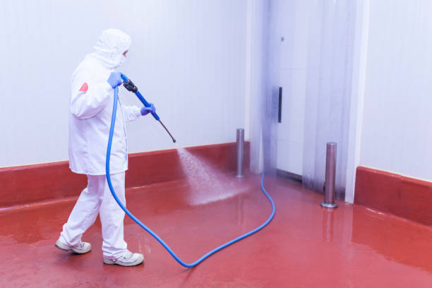 Best Spring Cleaning  in Richton Park, IL